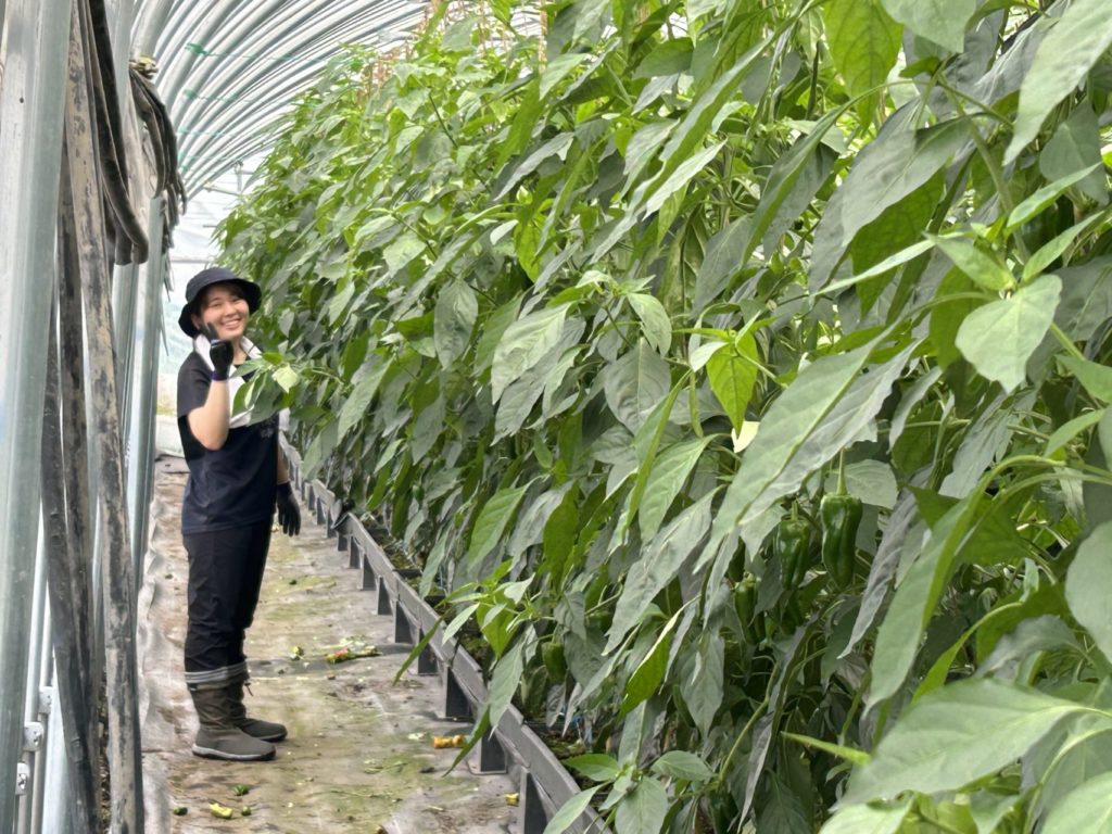 村おこしボランティア【大槌コース】での活動の様子