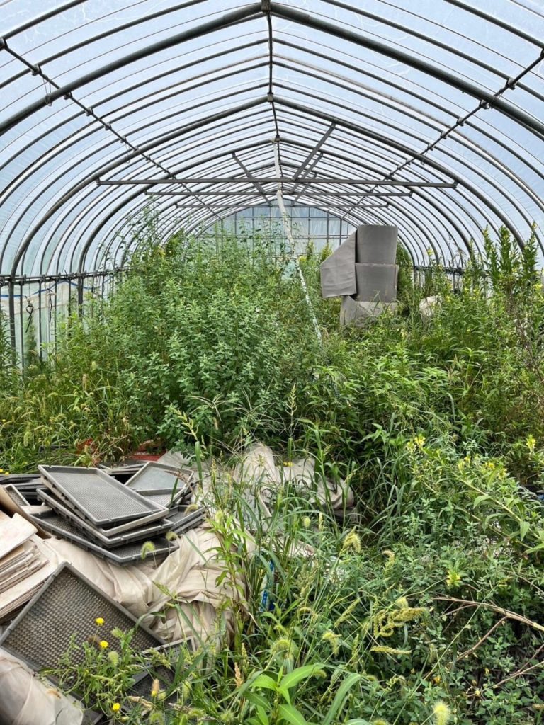 村おこしボランティア【大槌コース】での活動の様子