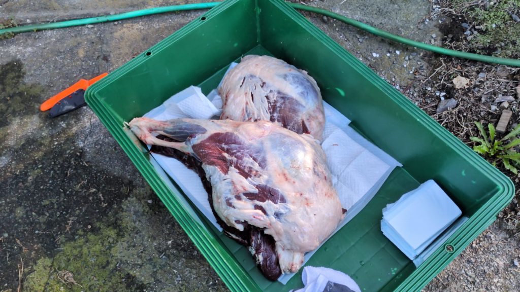 村おこしボランティア【大槌コース】での活動の様子