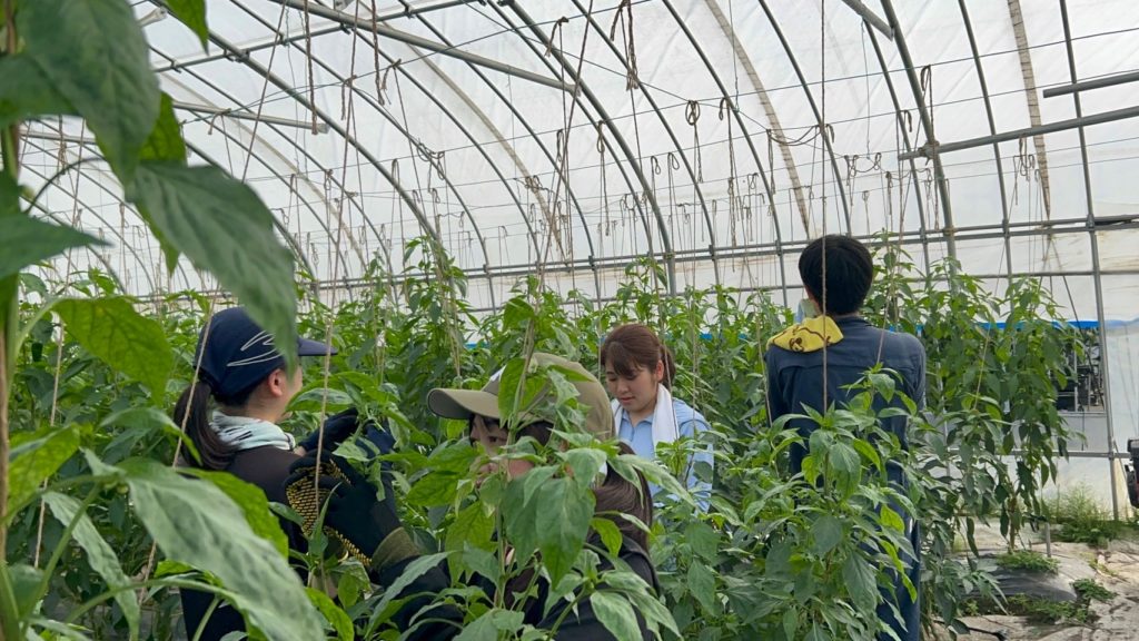 村おこしボランティア【大槌コース】での活動の様子