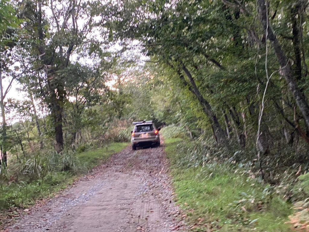 村おこしボランティア【大槌コース】での活動の様子