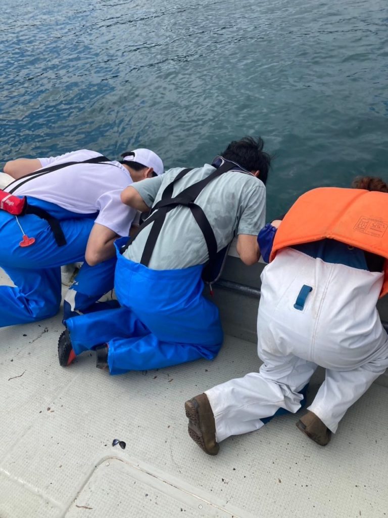 村おこしボランティア【三陸漁場コース】での活動の様子