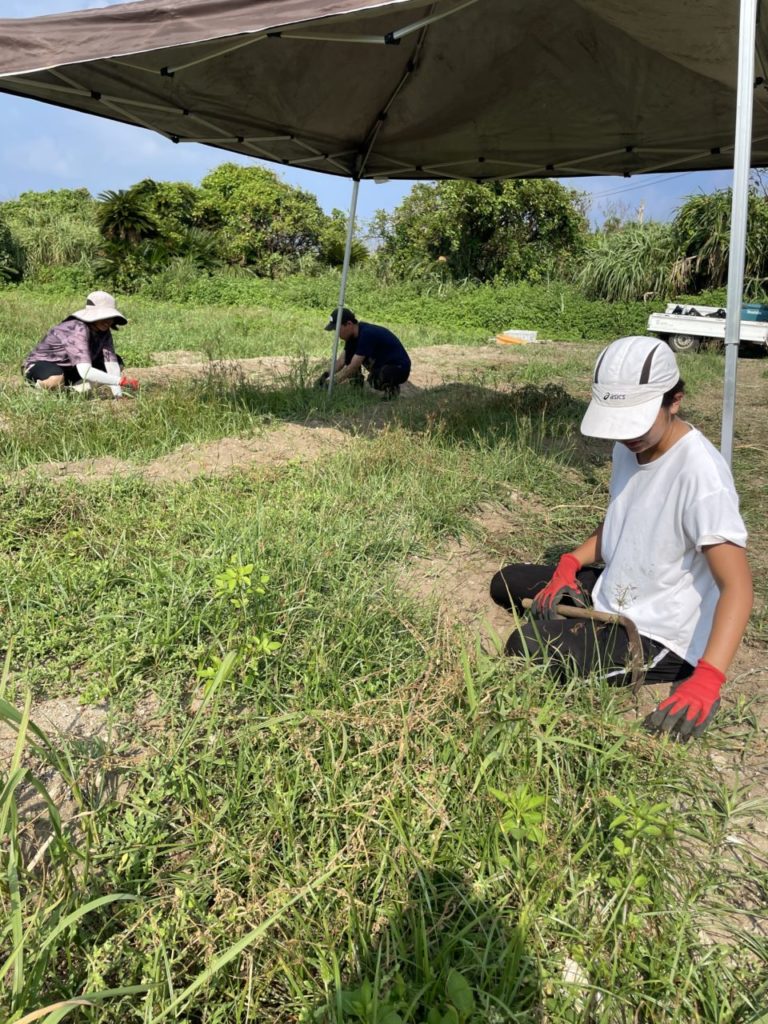 村おこしボランティア【宝島コース】での活動の様子