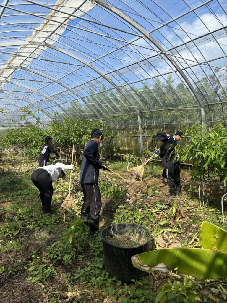 村おこしボランティア【与論島コース】での活動の様子