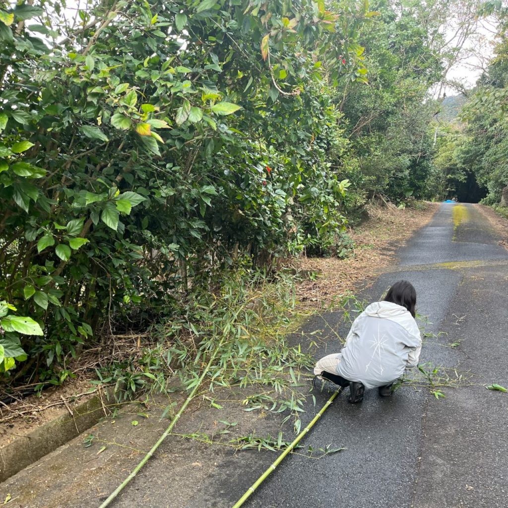 村おこしボランティア【屋久島コース】での活動の様子