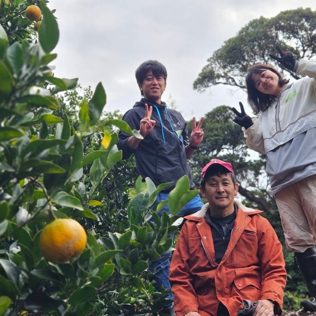 村おこしボランティア【屋久島コース】での活動の様子