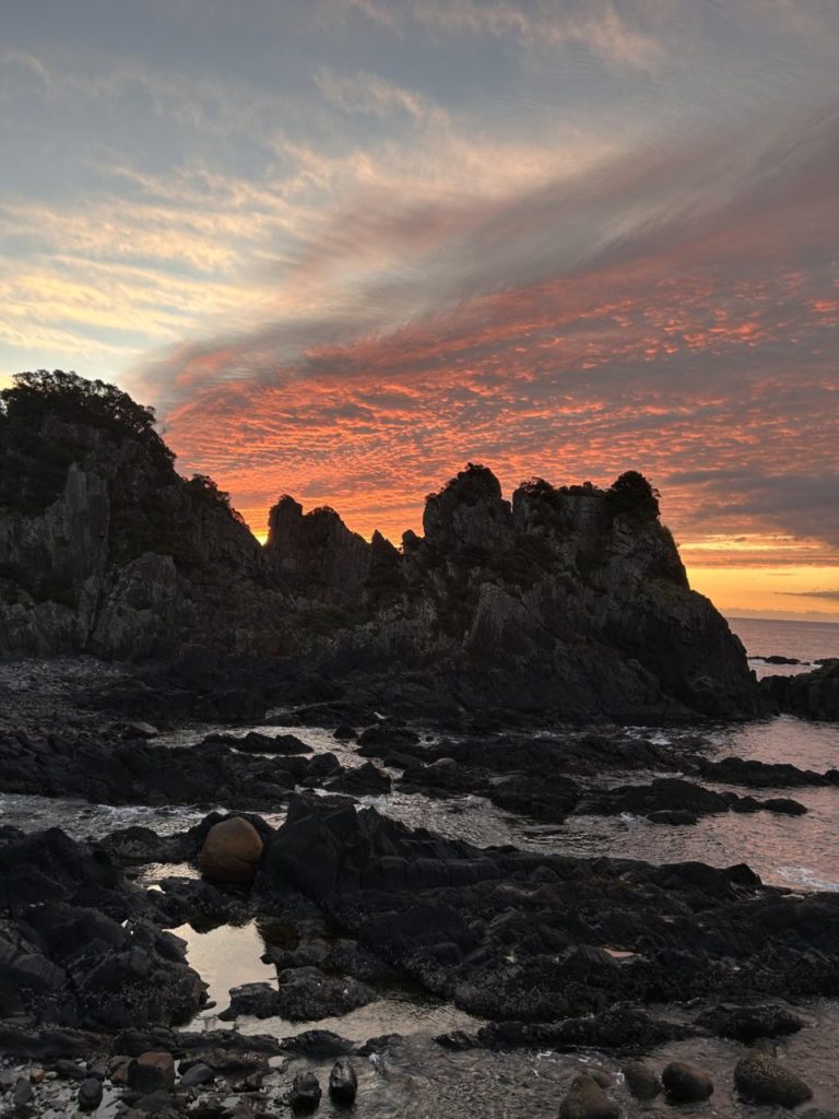 村おこしボランティア【屋久島コース】での活動の様子