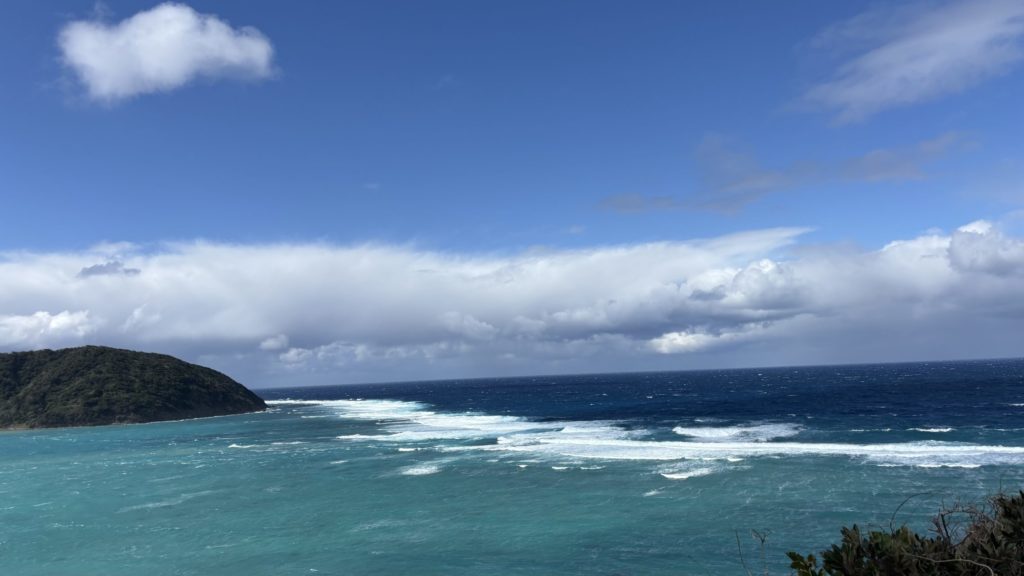 村おこしボランティア【奄美大島「100年先の未来へ」コース】での活動の様子
