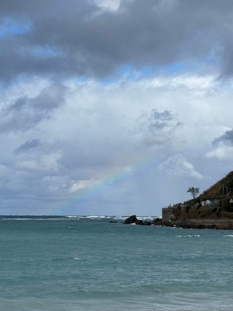 村おこしボランティア【奄美大島「100年先の未来へ」コース】での活動の様子