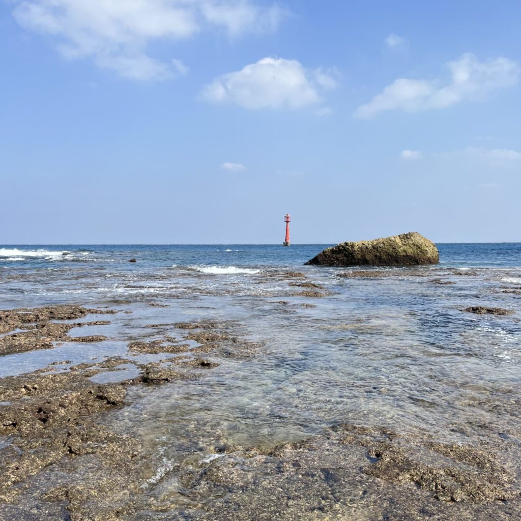 村おこしボランティア【奄美大島［北部］コース】での活動の様子