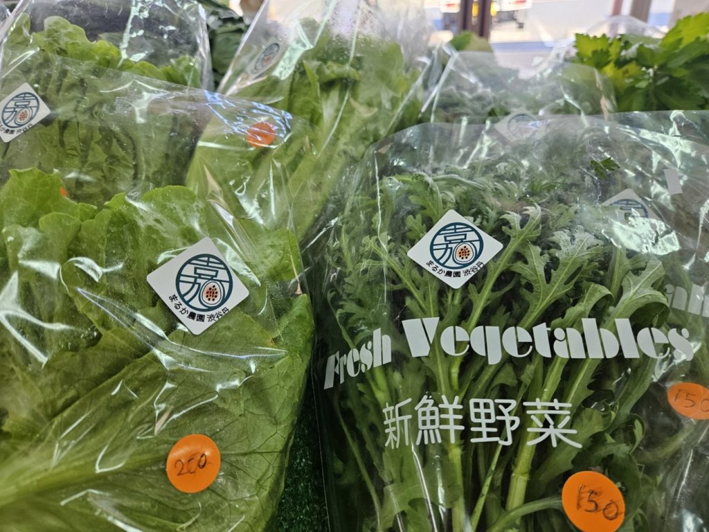 村おこしボランティア【奄美大島［北部］コース】での活動の様子