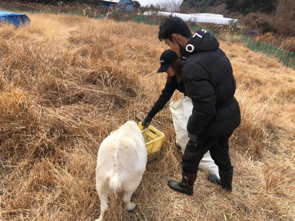 村おこしボランティア【江田島コース】での活動の様子