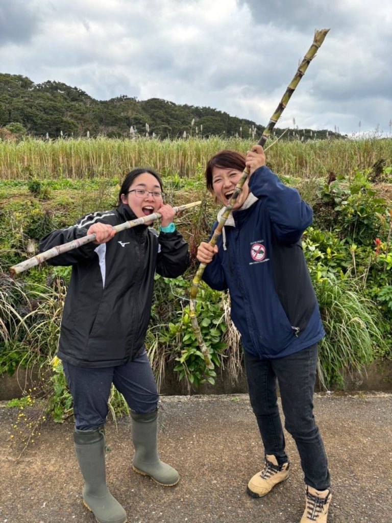 村おこしボランティア【喜界島コース】での活動の様子