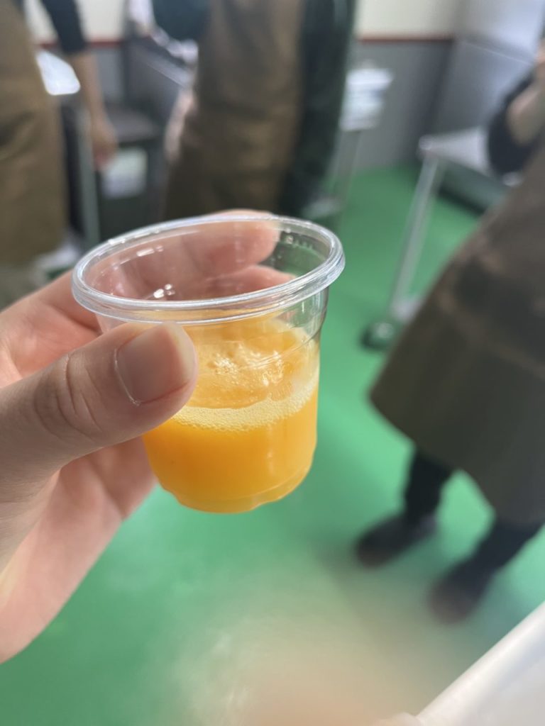 村おこしボランティア【喜界島コース】での活動の様子