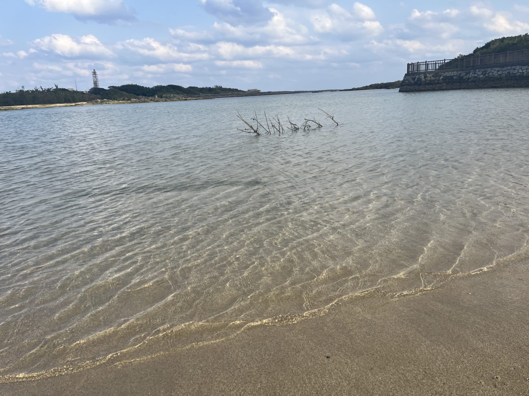 村おこしボランティア【喜界島コース】での活動の様子