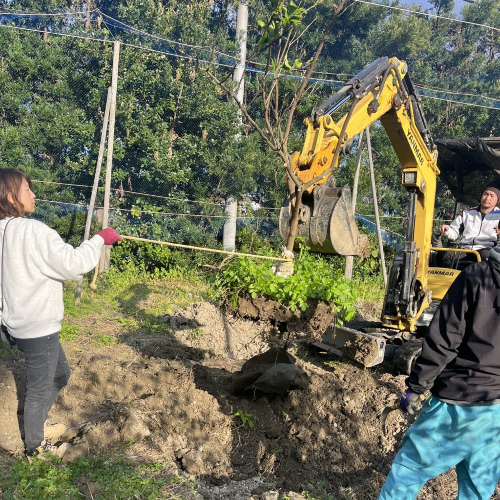 村おこしボランティア【喜界島コース】での活動の様子