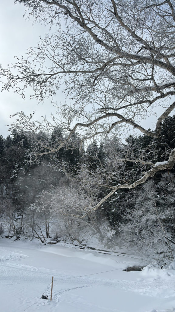 村おこしボランティア【然別湖コタンコース】での活動の様子