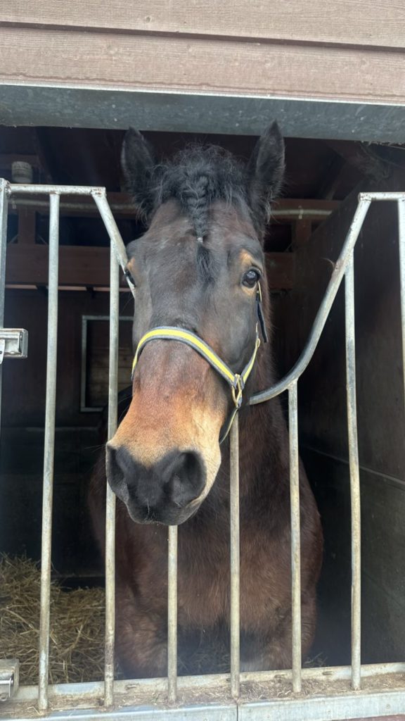 村おこしボランティア【然別湖コタンコース】での活動の様子
