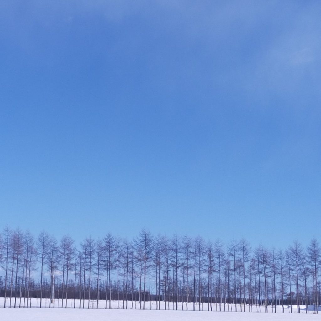 村おこしボランティア【然別湖コタンコース】での活動の様子
