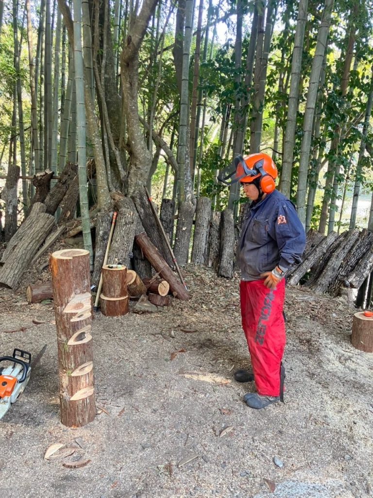 村おこしボランティア【四万十川・林業コース】での活動の様子