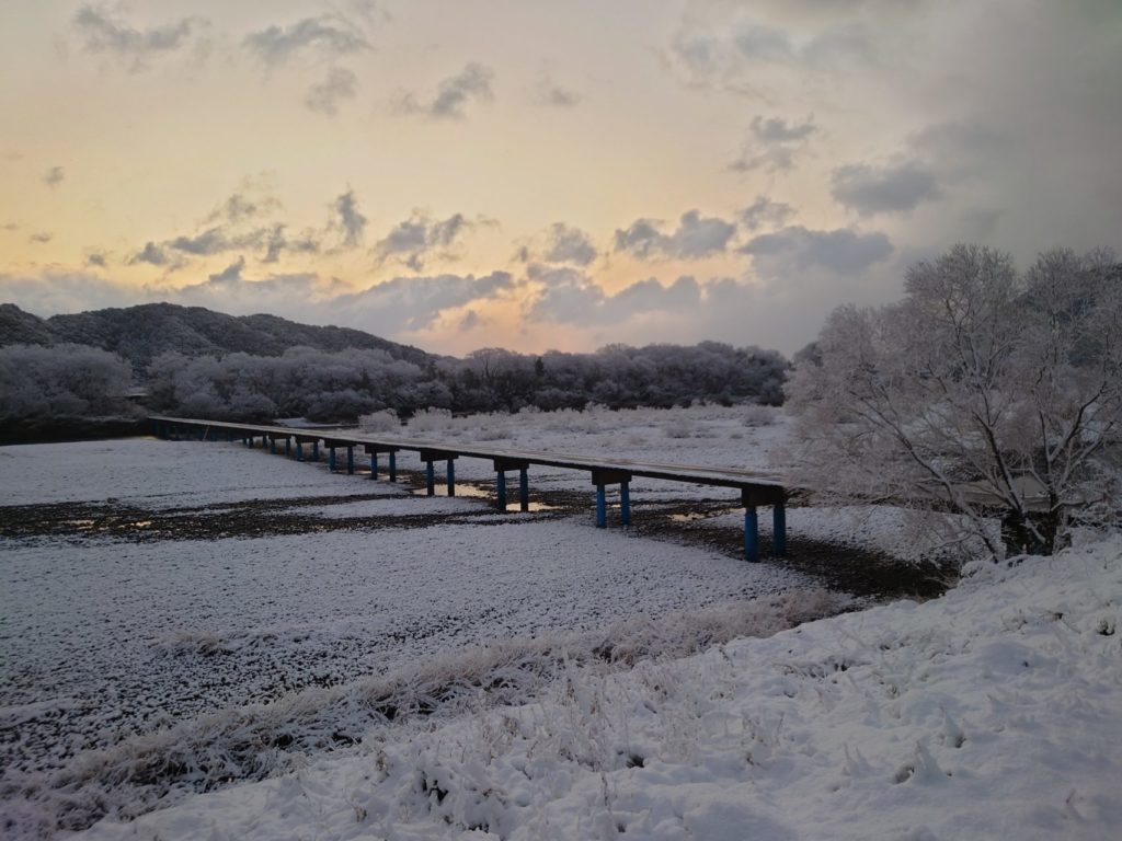 村おこしボランティア【四万十川・林業コース】での活動の様子