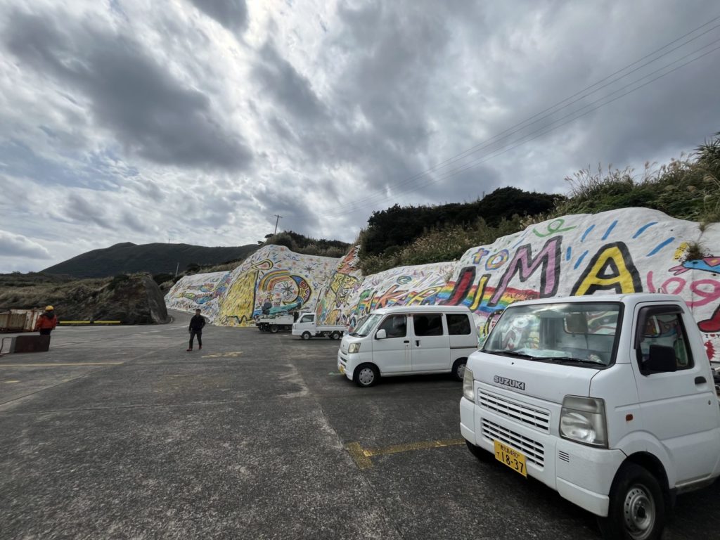 村おこしボランティア【宝島コース】での活動の様子