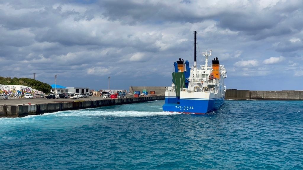 村おこしボランティア【宝島コース】での活動の様子