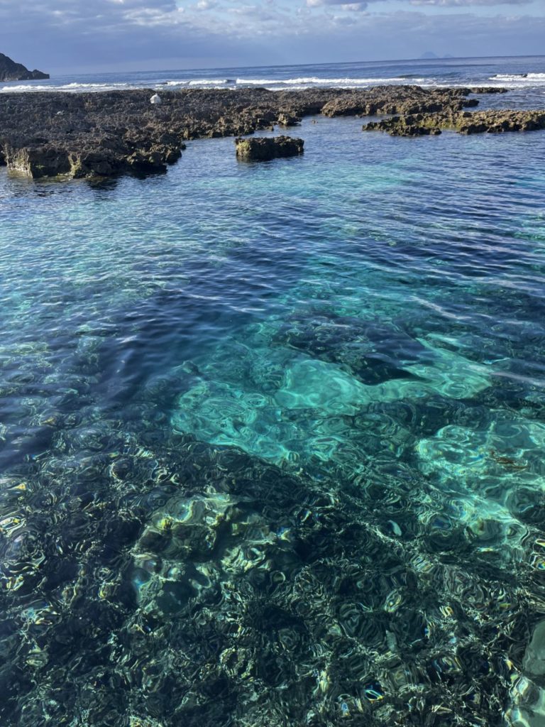 村おこしボランティア【宝島コース】での活動の様子