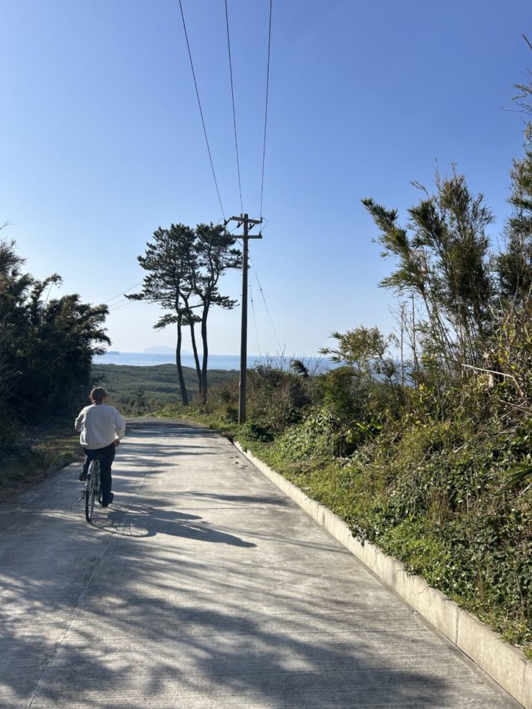 村おこしボランティア【さつま竹島コース】での活動の様子