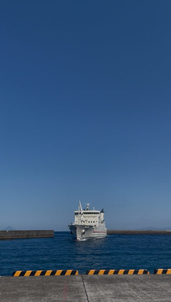 村おこしボランティア【さつま竹島コース】での活動の様子