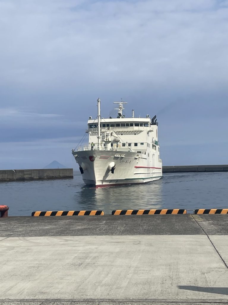 村おこしボランティア【さつま竹島コース】での活動の様子