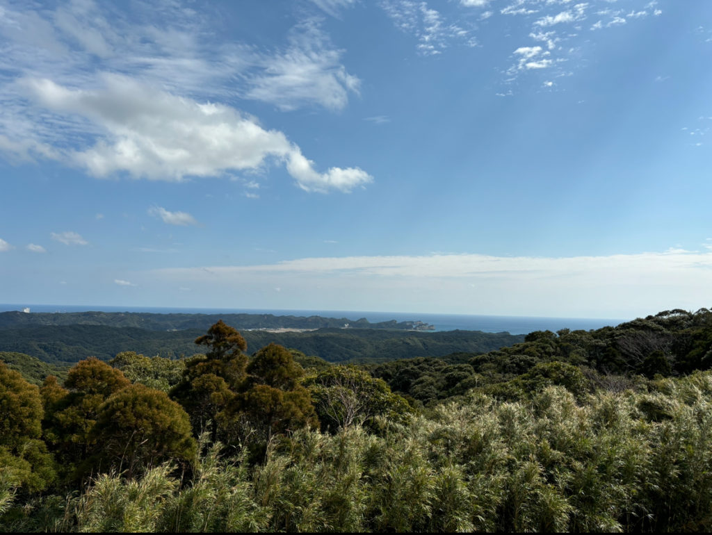 村おこしボランティア【種子島コース】での活動の様子