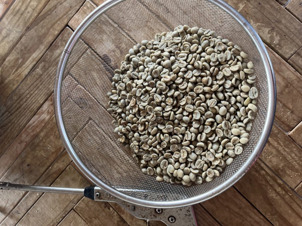 村おこしボランティア【徳之島コース】での活動の様子