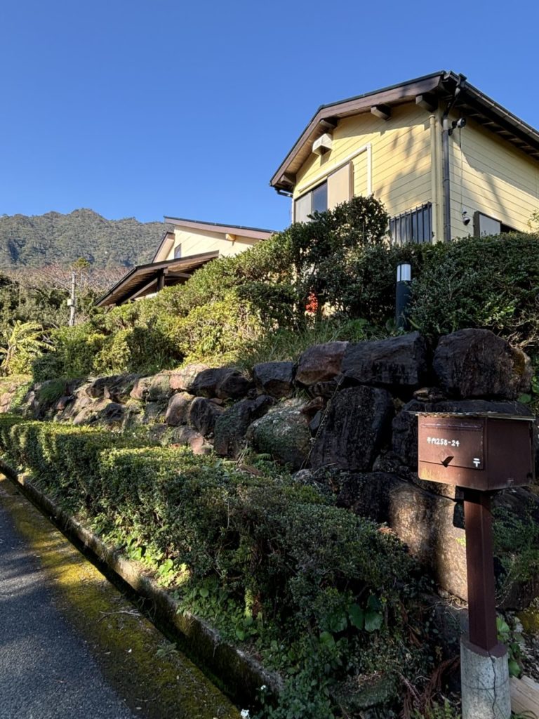 村おこしボランティア【屋久島コース】での活動の様子