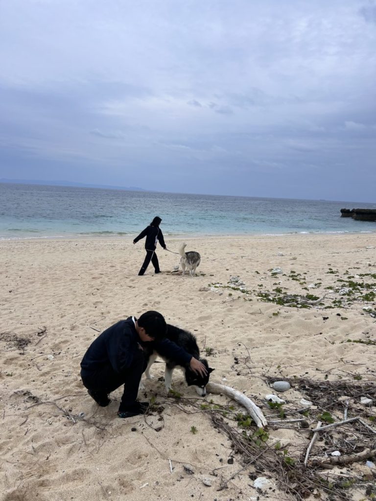 村おこしボランティア【与論島コース】での活動の様子
