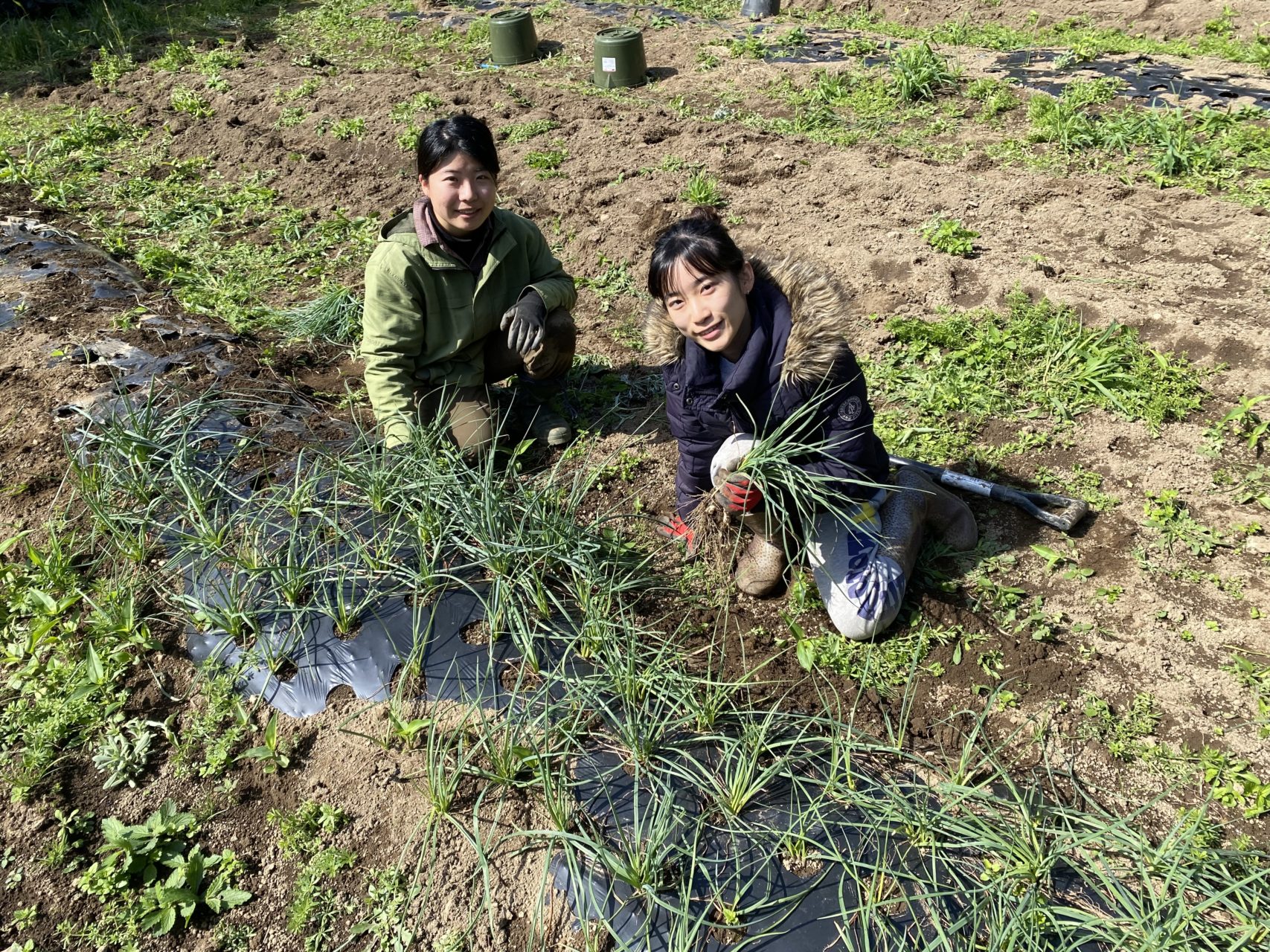 村おこしボランティア【悪石島コース】での活動の様子