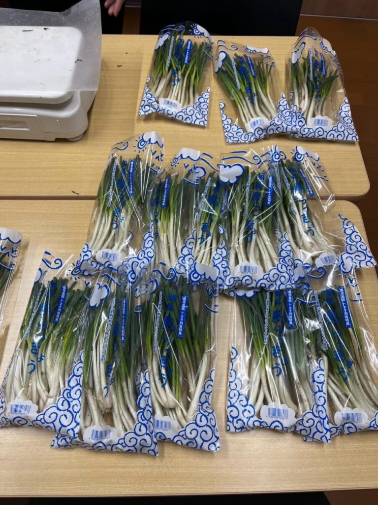 村おこしボランティア【悪石島コース】での活動の様子