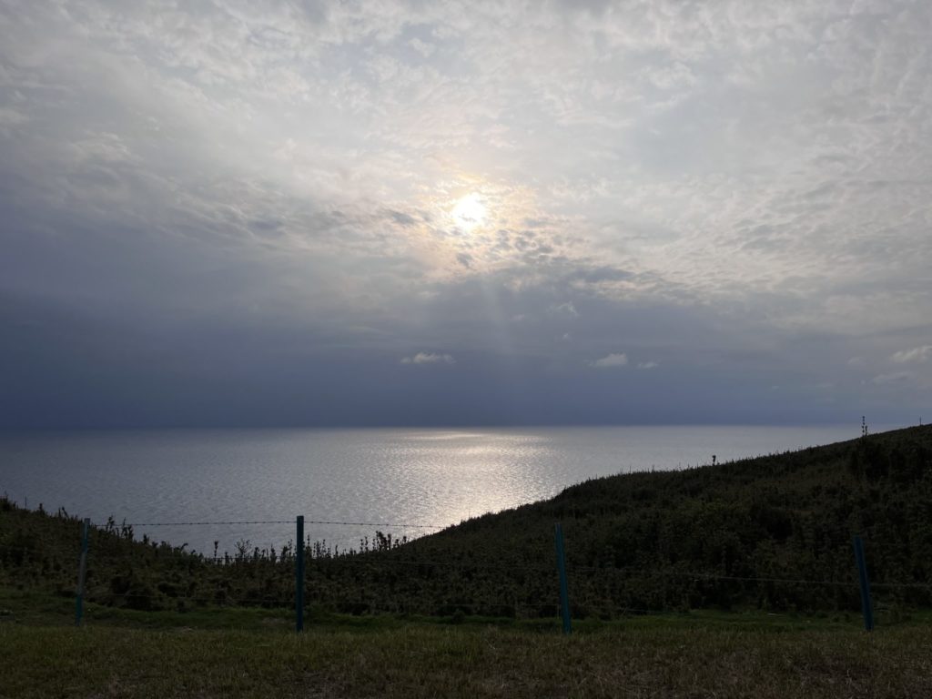 村おこしボランティア【悪石島コース】での活動の様子