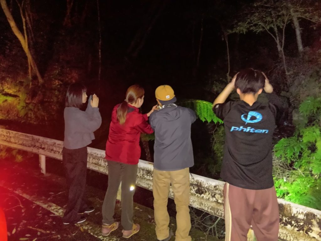 村おこしボランティア【奄美大島「100年先の未来へ」コース】での活動の様子