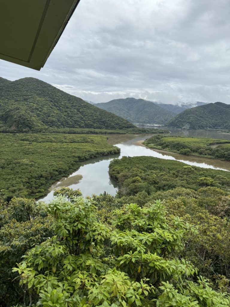 村おこしボランティア【奄美大島「100年先の未来へ」コース】での活動の様子