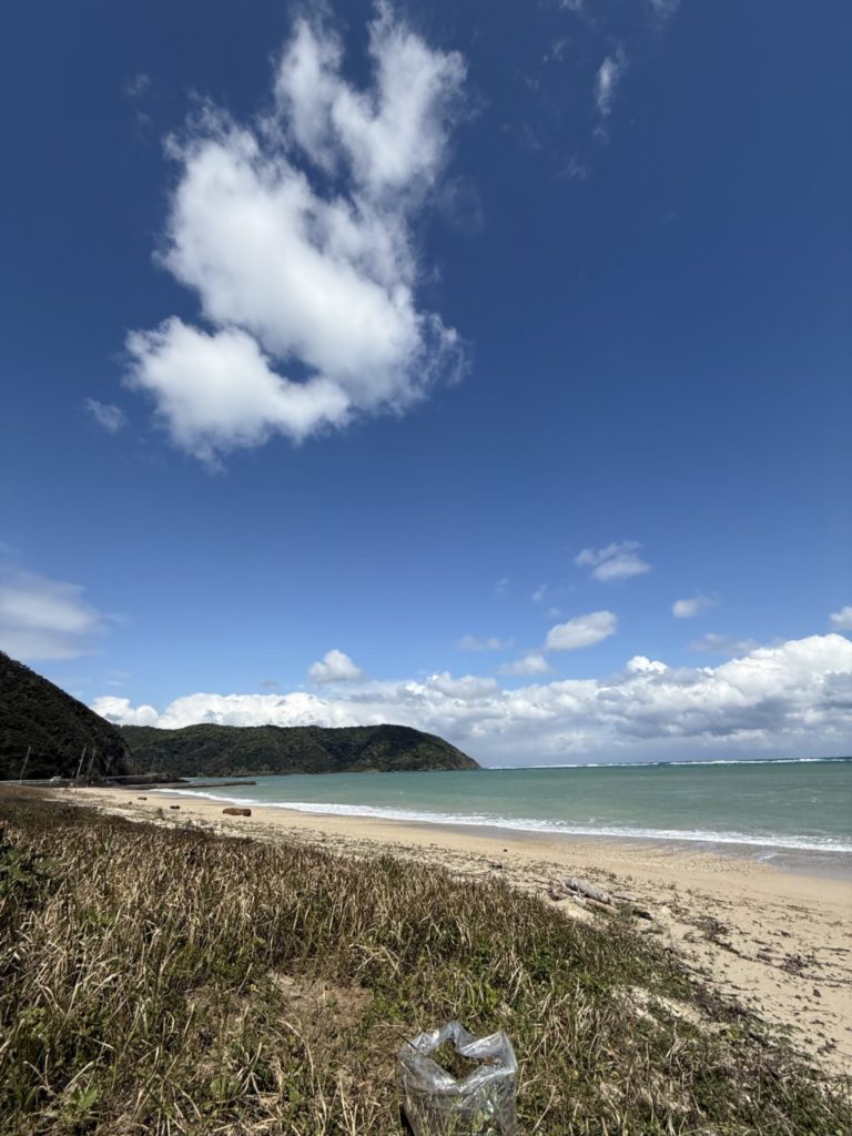 村おこしボランティア【奄美大島「100年先の未来へ」コース】での活動の様子