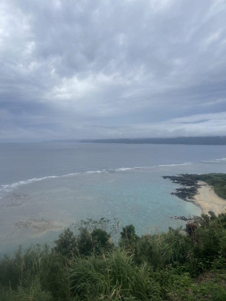 村おこしボランティア【奄美大島［北部］コース】での活動の様子