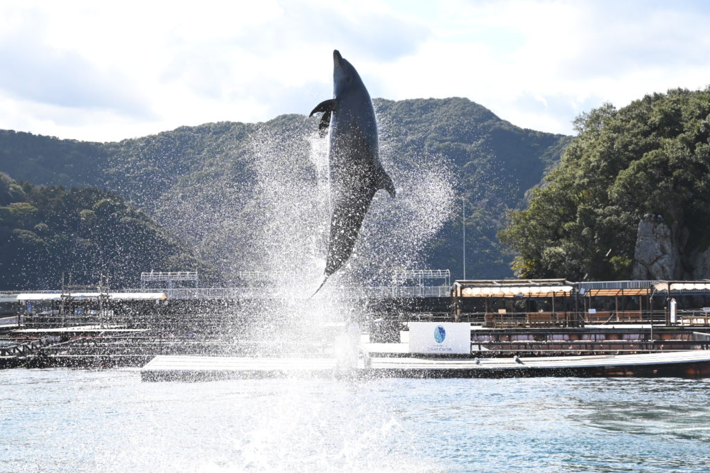 村おこしボランティア【保戸島コース】での活動の様子