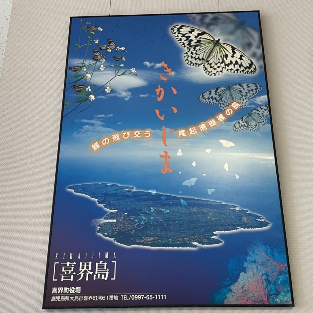 村おこしボランティア【喜界島コース】での活動の様子