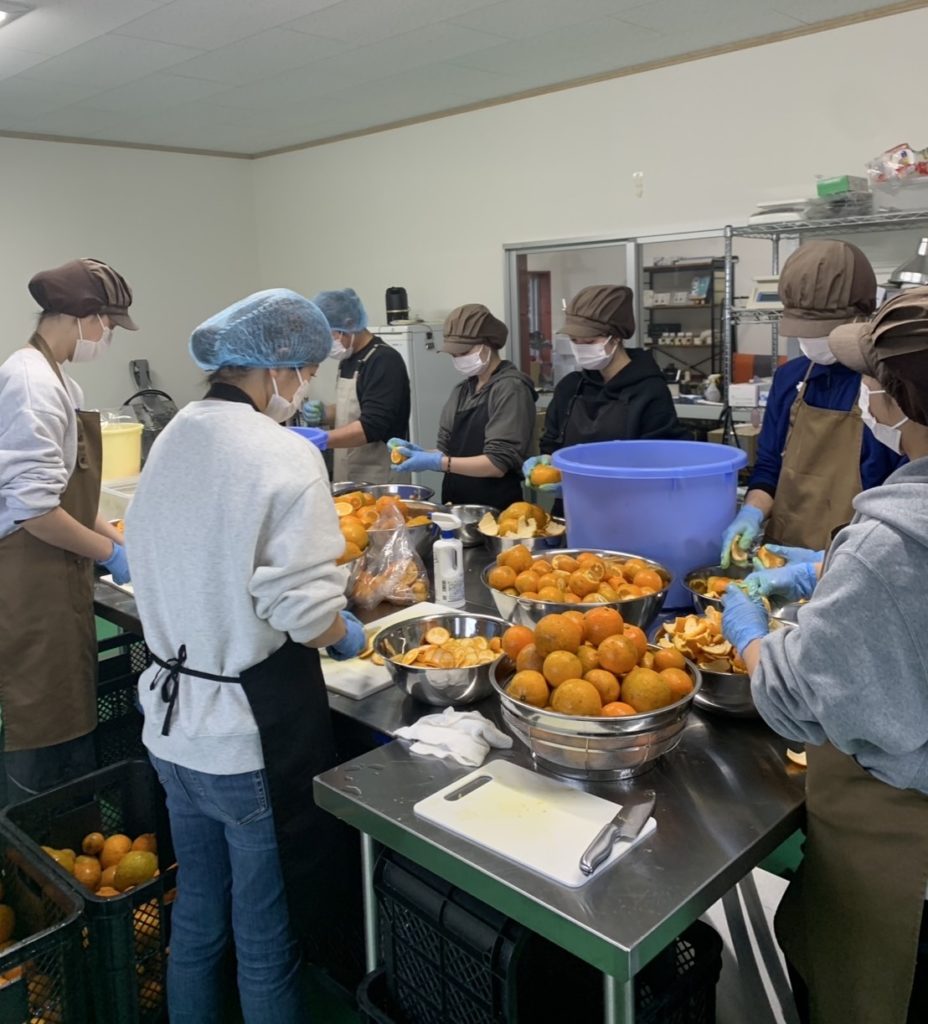 村おこしボランティア【喜界島コース】での活動の様子