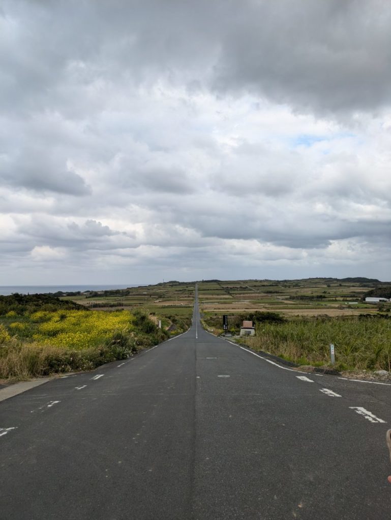 村おこしボランティア【喜界島コース】での活動の様子