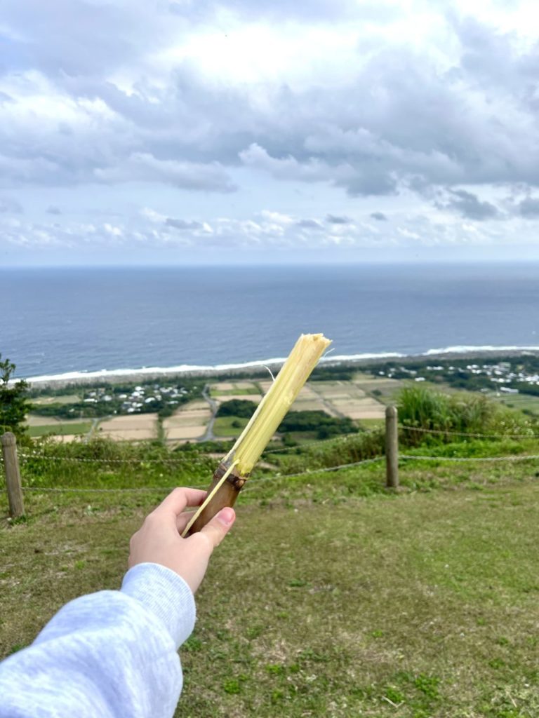 村おこしボランティア【喜界島コース】での活動の様子