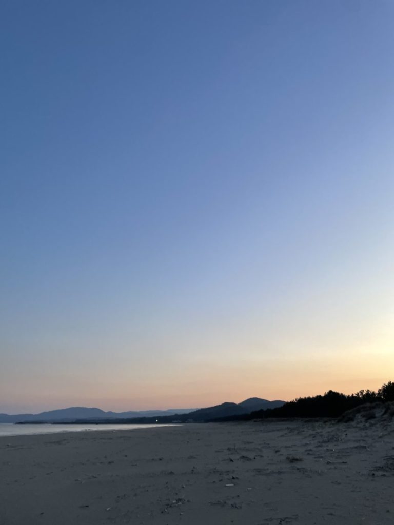 村おこしボランティア【黒潮町コース】での活動の様子