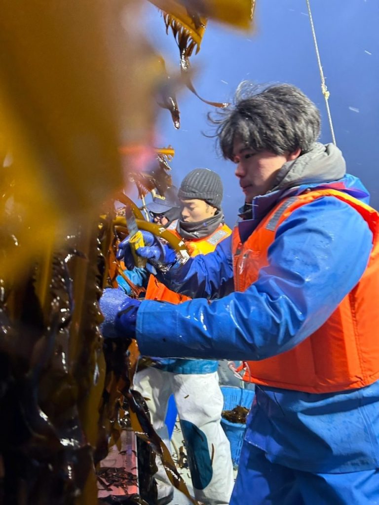 綾里ワカメ大作戦！の活動の様子