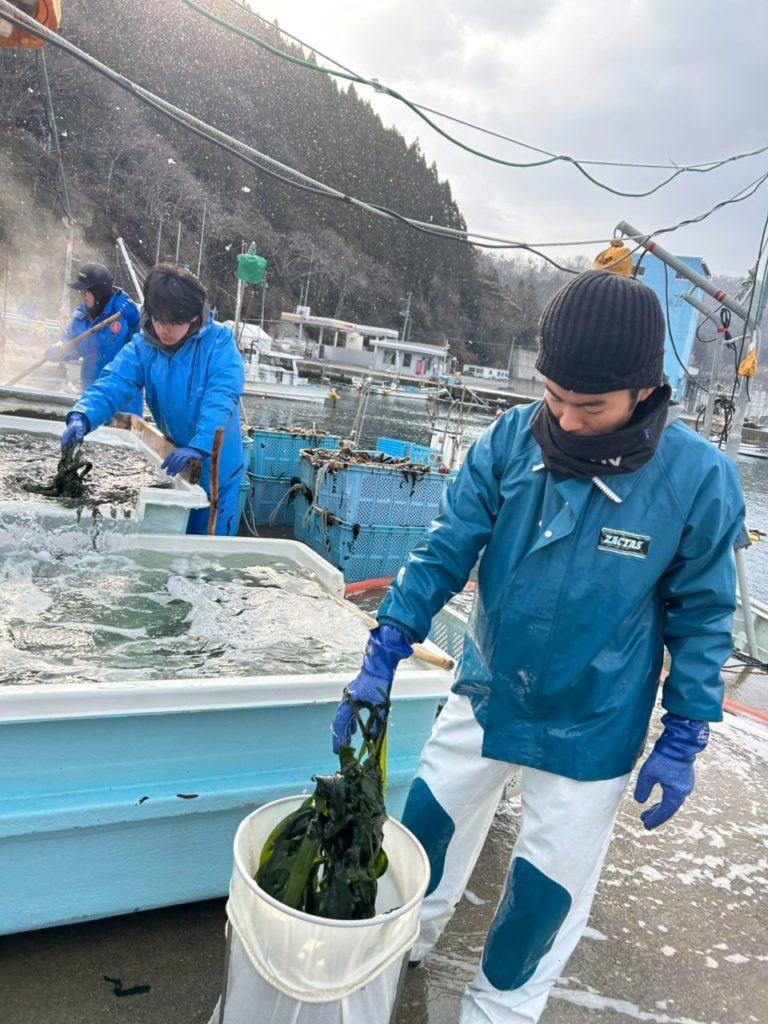 綾里ワカメ大作戦！の活動の様子